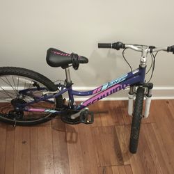 Schwinn 24" Ranger Bike