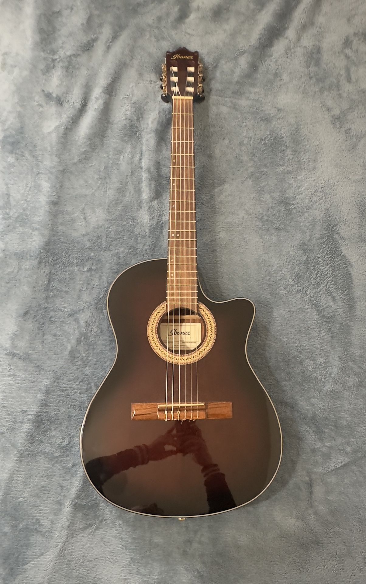 Ibanez Classic Electric Guitar