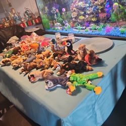 Beanie Babies