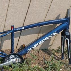 Diamondback Insight 1 Frame