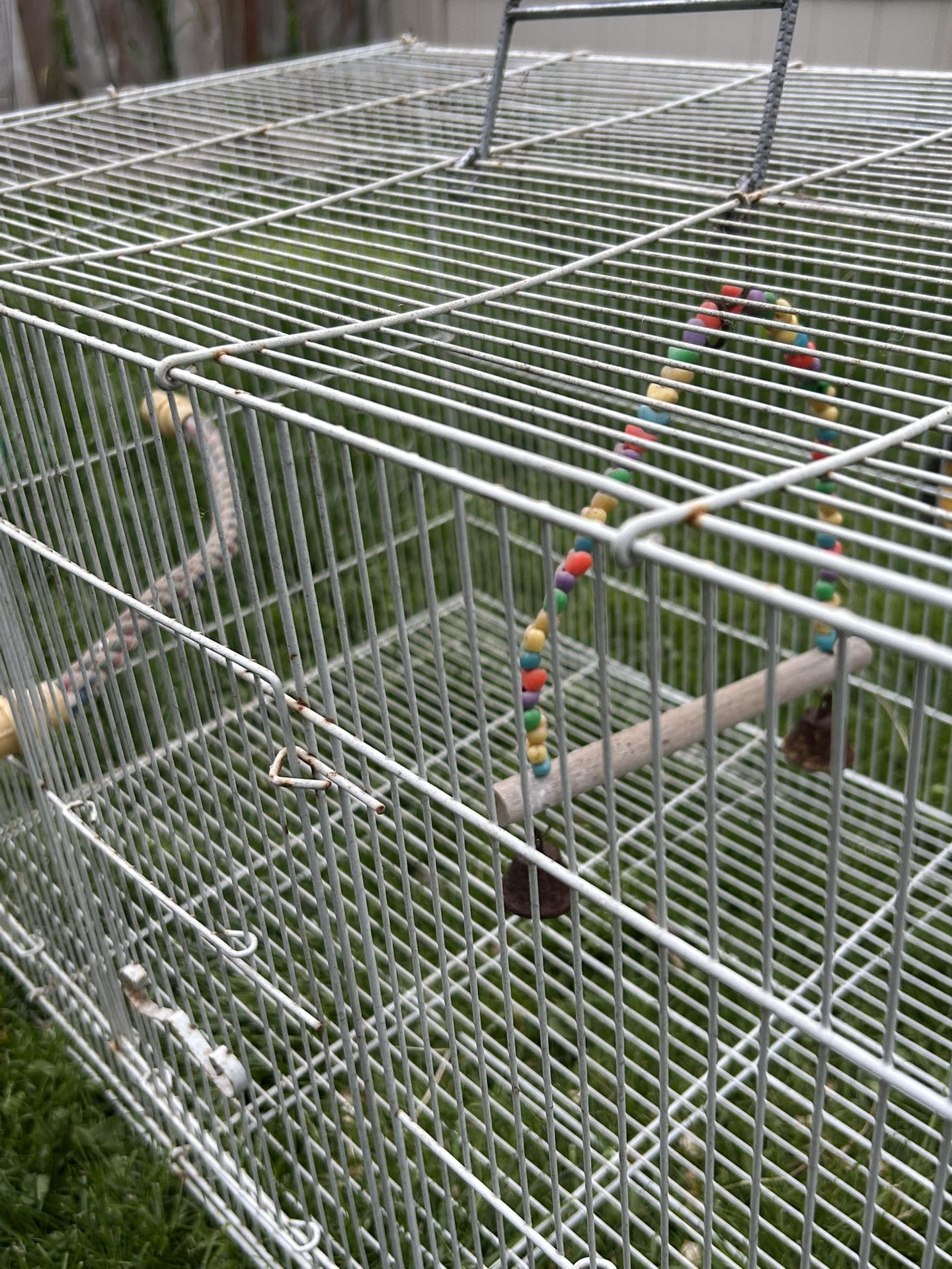 Bird Cage