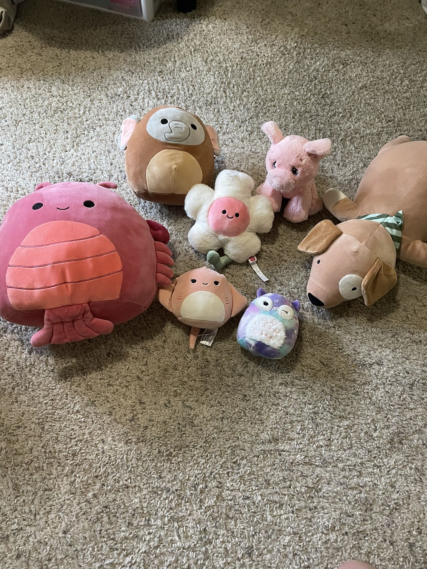 Stuffed Animals