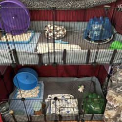 Hedgehog Cage And Supplies With Pets