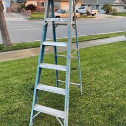Werner ladder 6’ Fiberglass