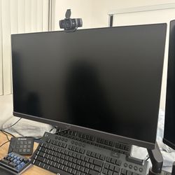 Asus 1440P & 4K  Monitors 