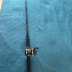 Abu Garcia fishing pole reel