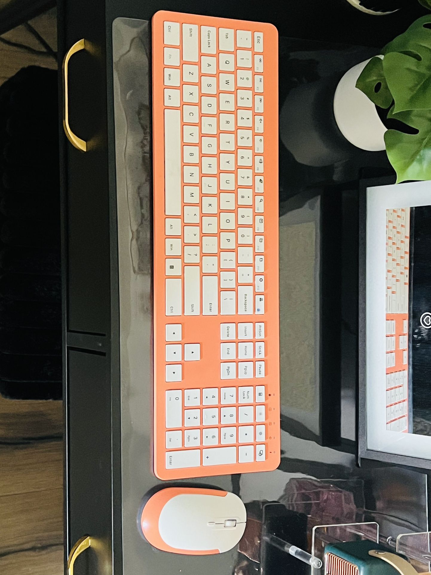 Keyboard & Mouse