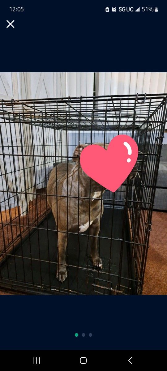 42x30 KENNEL