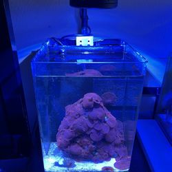 6g Marineland Desk Top AIO Fish Tank