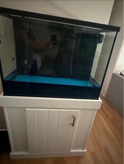 Fish tank