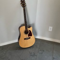 Ibanez, Acoustic Electric Guitar
