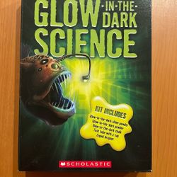 Glow In The Dark Science Kit