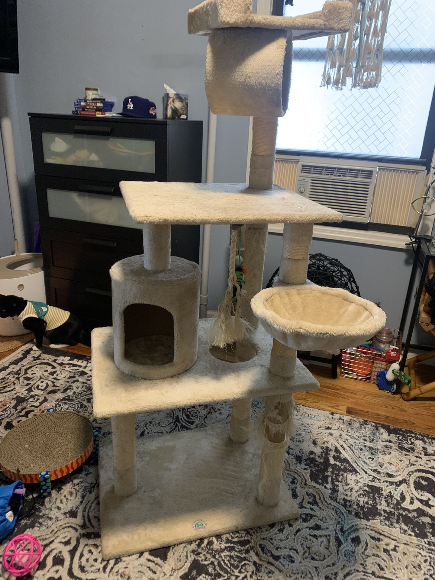 Used Cat Tree and accessories 