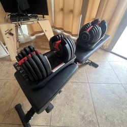 Dumbbells and Bench