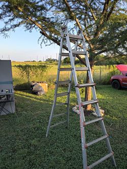 Little giant ladder