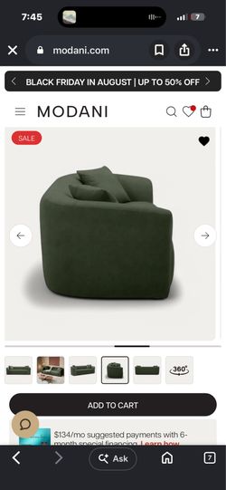 Modani Green Fabric Sofa with Pillows