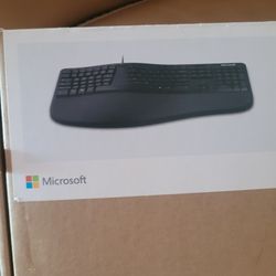 Microsoft Keyboard