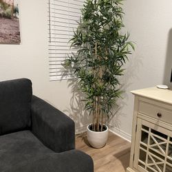 Faux Bamboo Plant 