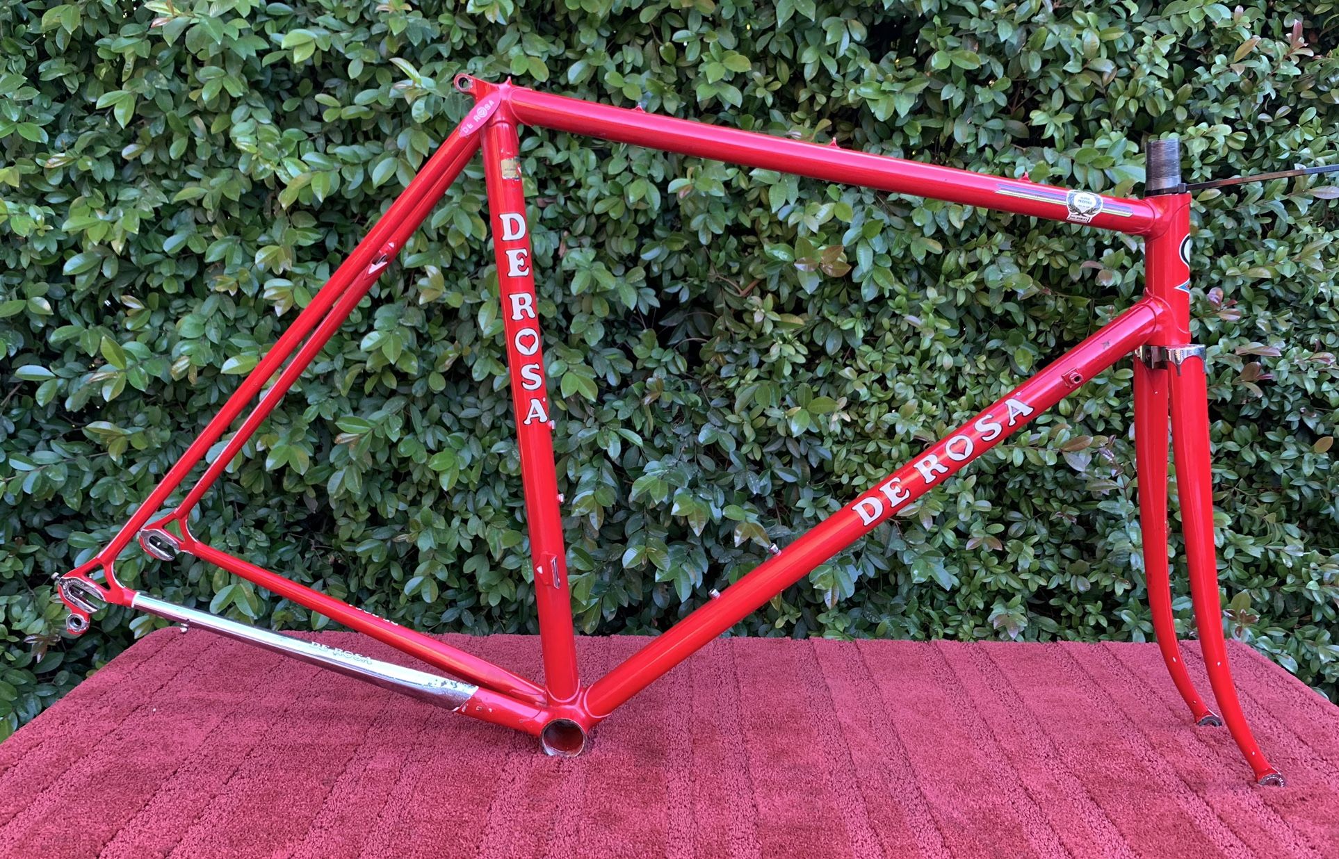 Vintage De Rosa Professional Steel Frame and Fork 1980s Columbus SL 54cm