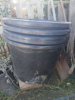 Planter Pots