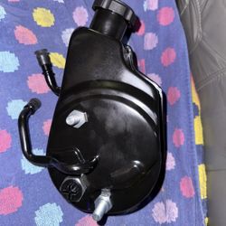 Edelmann Power Steering Pump Chevy