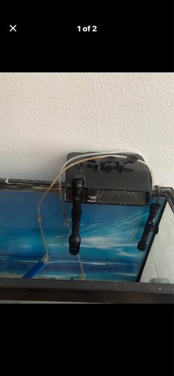 Fish tank water filter