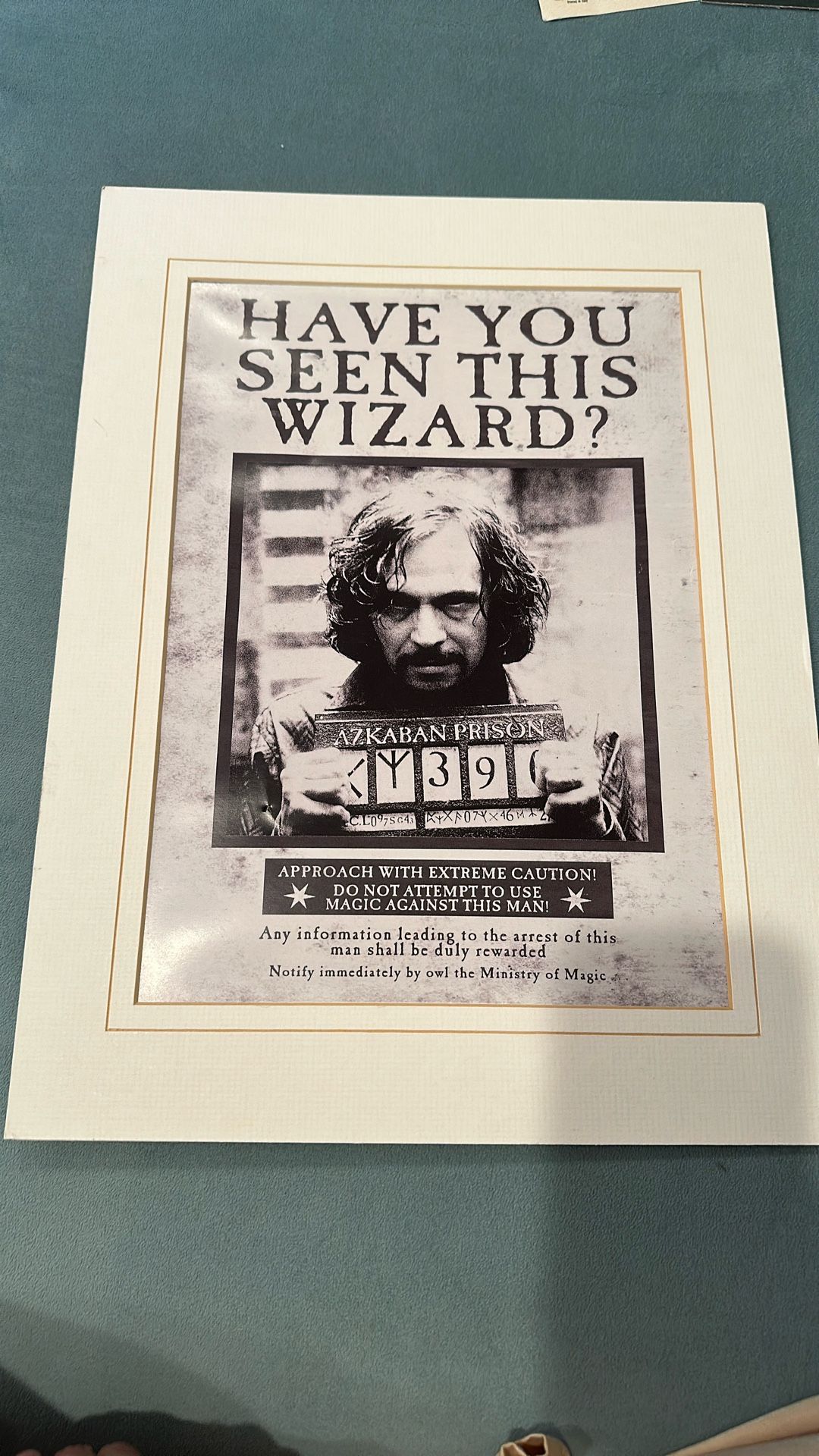 Framed Harry Potter Poster