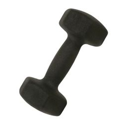 12 lb Dumbbell Weights- Qty 2