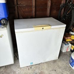 Food Storage Freezer