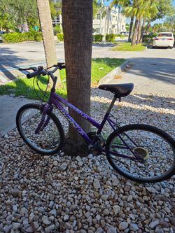 Purple Women's Mountain Bike