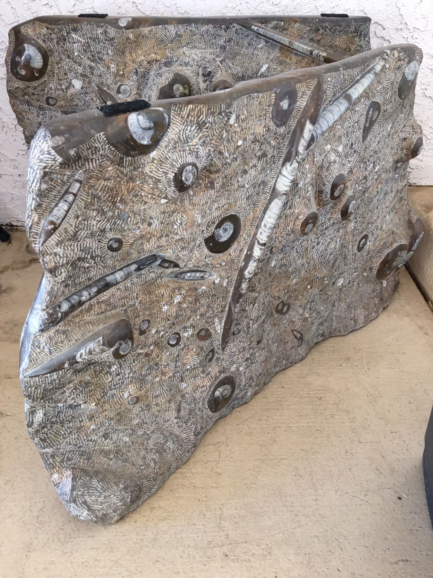 Fossil Marble Table Bases