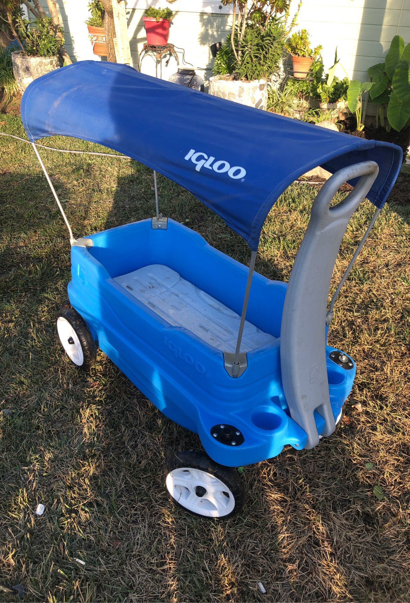 Igloo cooler/ wagon