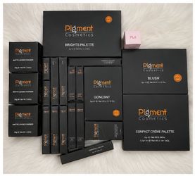 Pigment Cosmetics Makeup Lot New Pro Palettes Foundation PLA