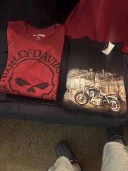 XL male shirt
