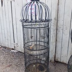 vintage birdcage 5' alto 