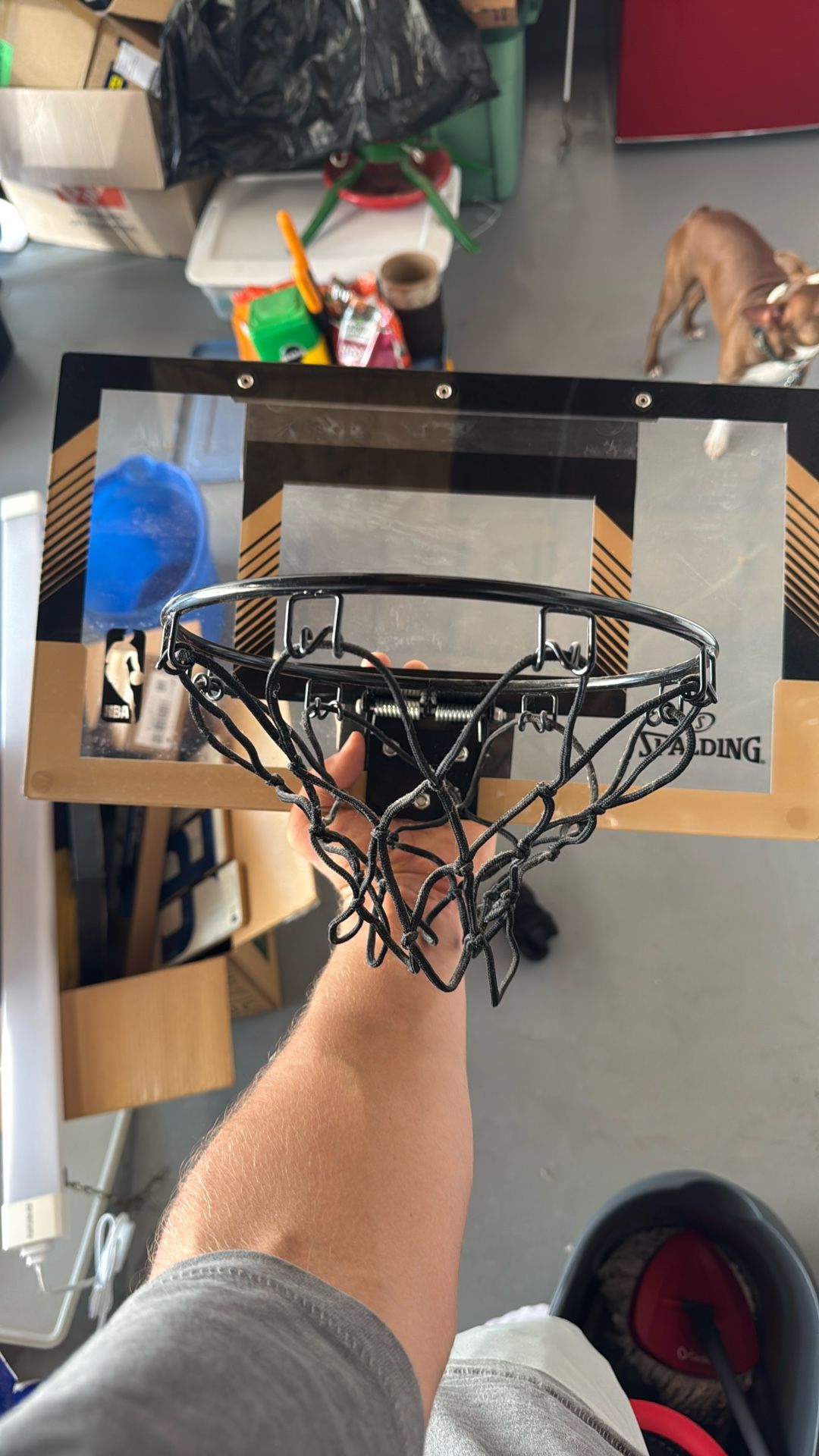 Mini Basketball Hoop