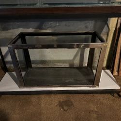 Fish Tank 