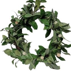Lamb Ears Leaves