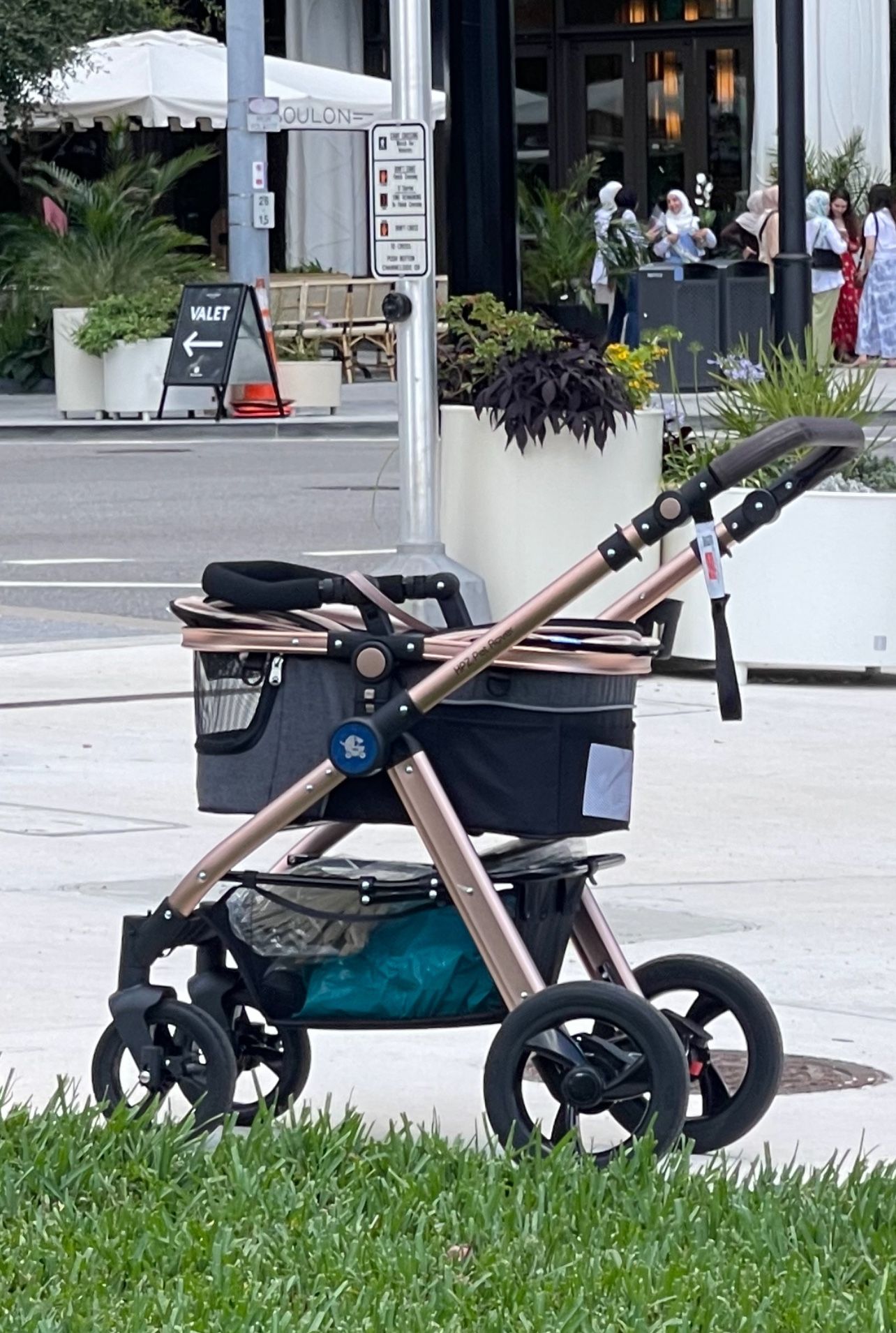 Dog stroller 