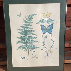 DIANNE COLEMAN Signed Numbered Ferns Plants 923/1000 Framed Matted Art