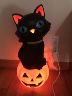 Halloween Cat