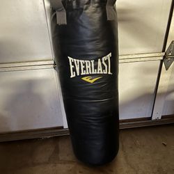 EverLast Punching Bag