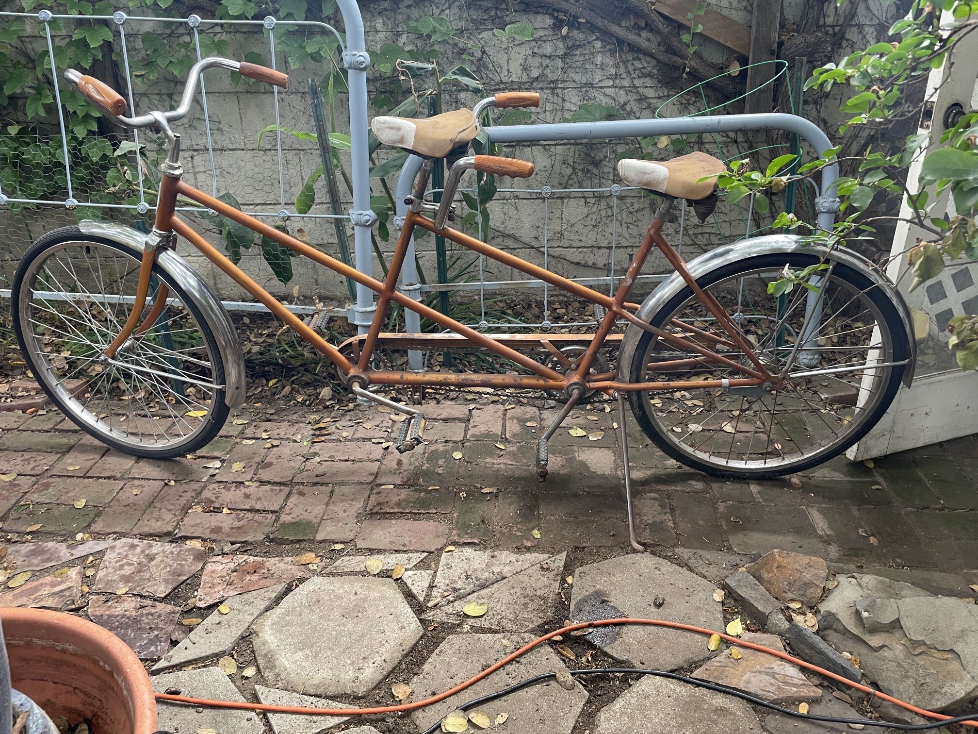 Schwinn twinn best sale