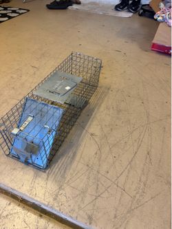 Animal trap cage