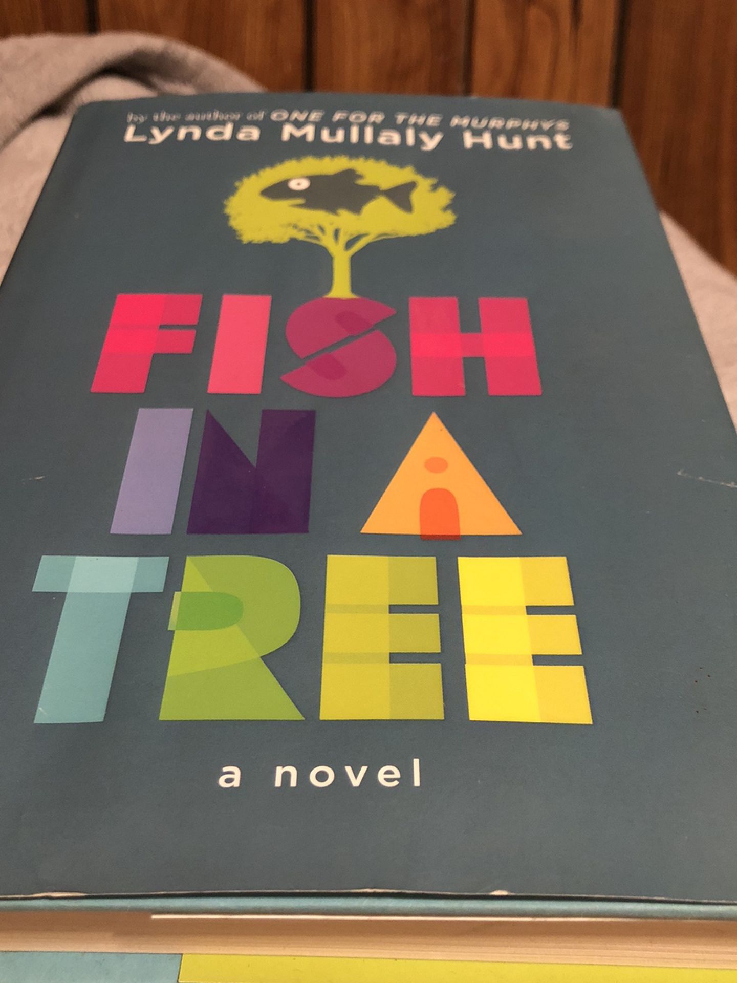 Fish In A Tree Hardcover Book