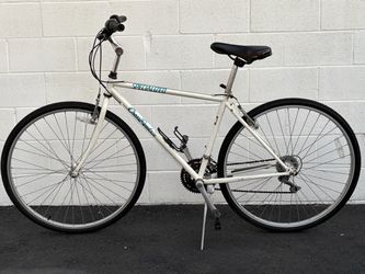 Men’s specialized  Crossroads cruz