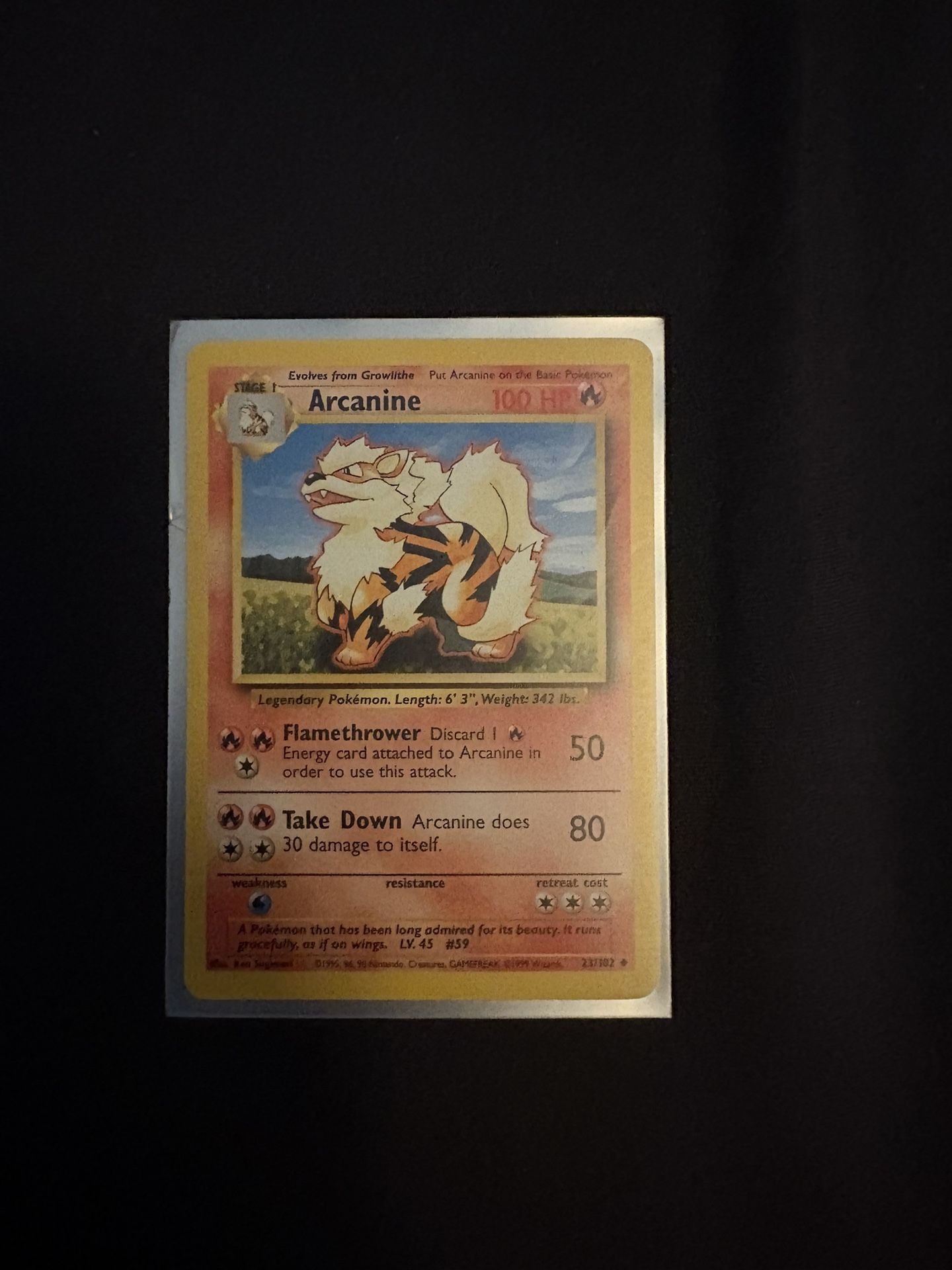 Arcanine