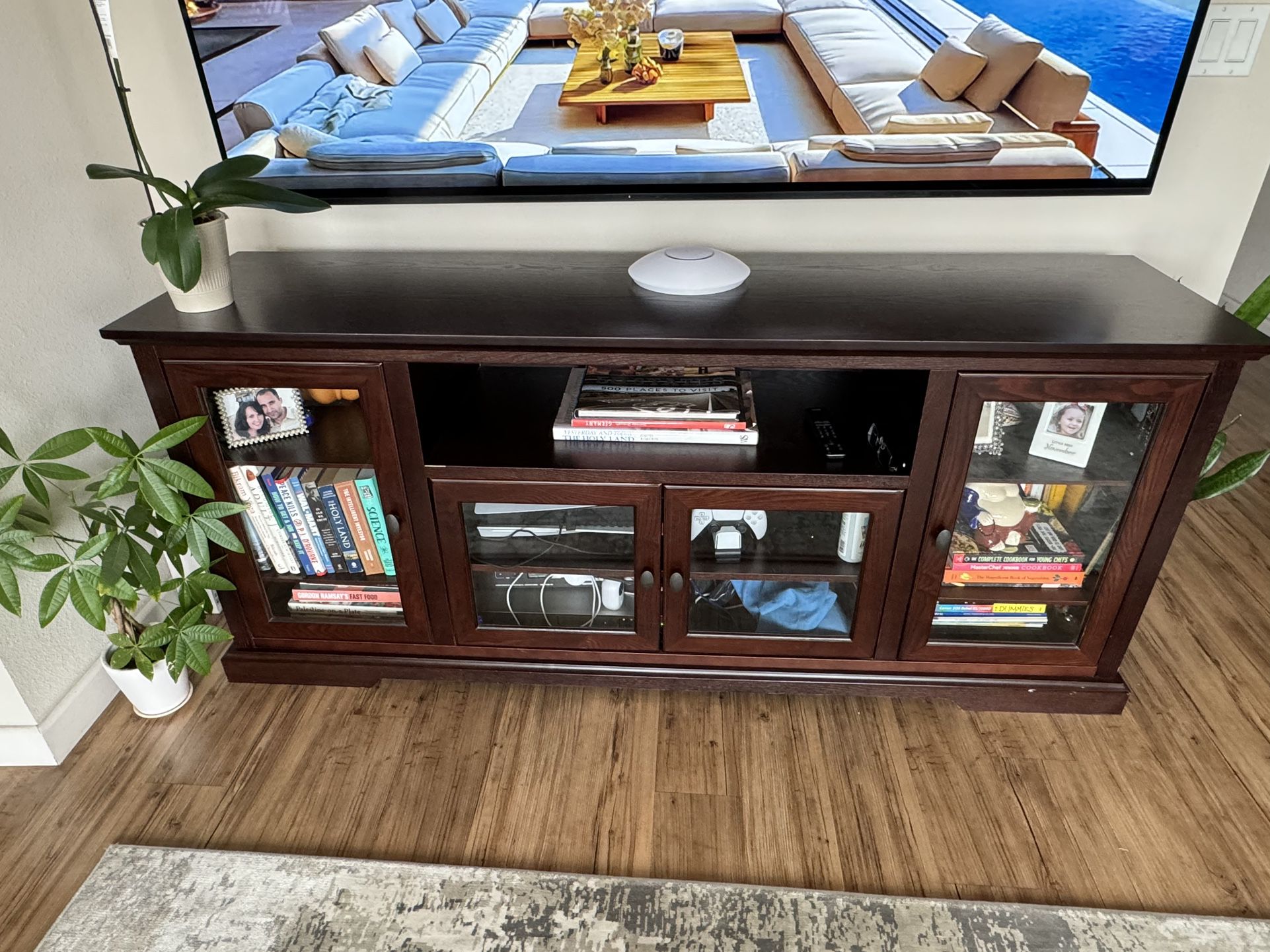 Entertainment Cabinet TV Stand (Free)