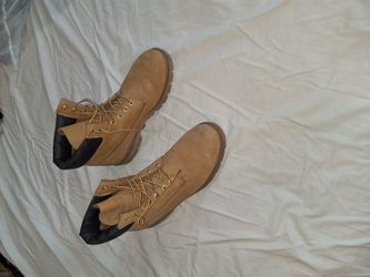 Size12 Timberlands