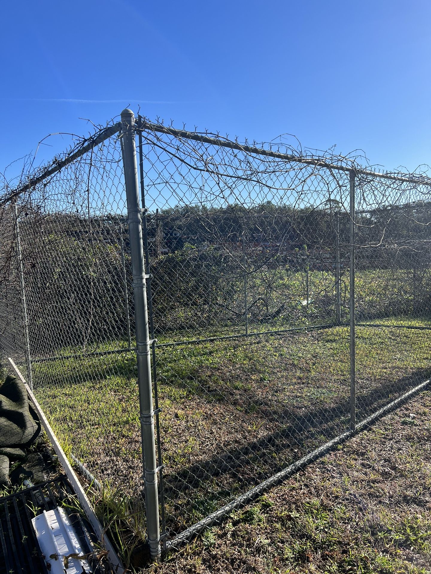 Chain Link Fence With Gate Great Condition ,free